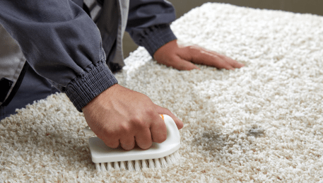 Professional Rug Cleaning Plumpton